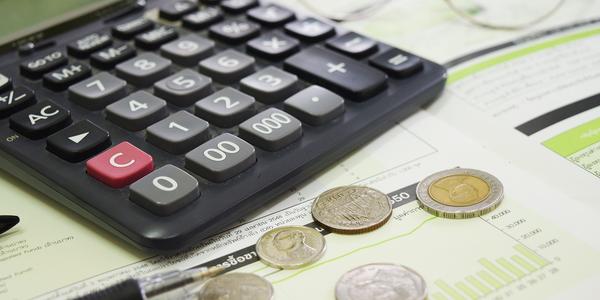 Token holders show promise with stability while NFTs lag behind.
